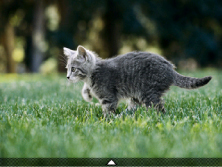 図:液晶モニター